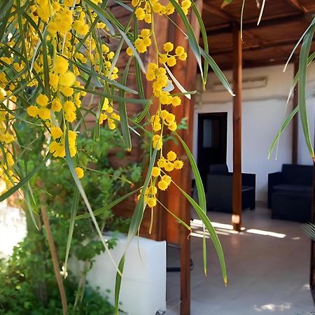בארי Sea Breeze Villa - Sole Apartment מראה חיצוני תמונה