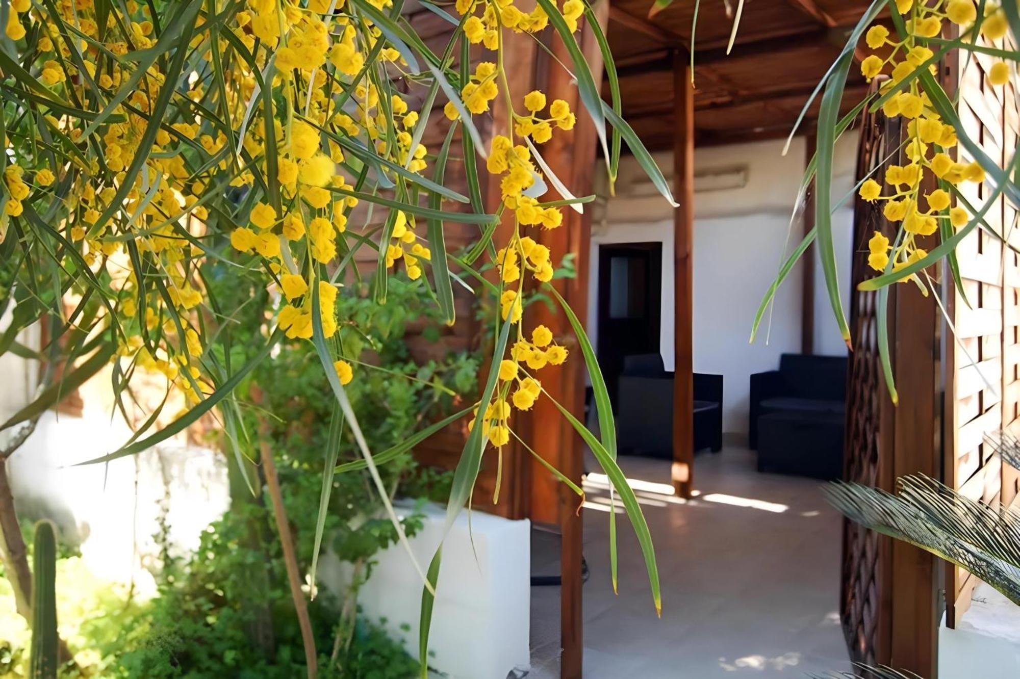בארי Sea Breeze Villa - Sole Apartment מראה חיצוני תמונה